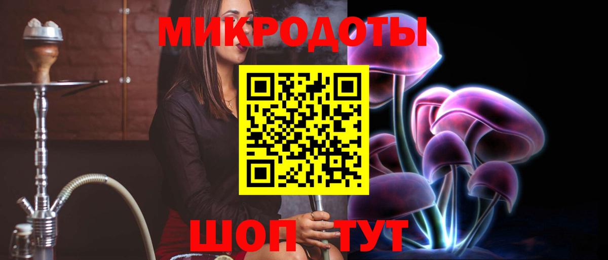 Псилоцибиновые грибы Cubensis Киселёвск
