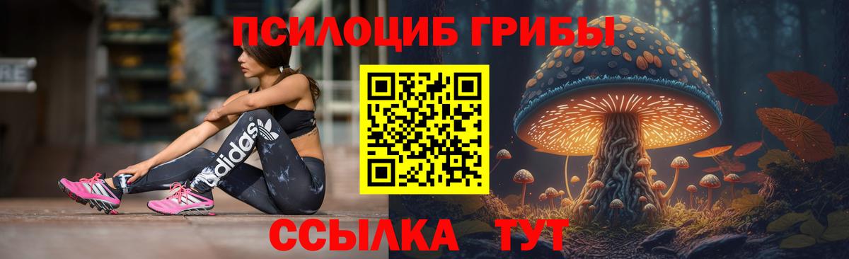 Киселёвск  Галлюциногенные грибы MAGIC MUSHROOMS  Вход с VPN 